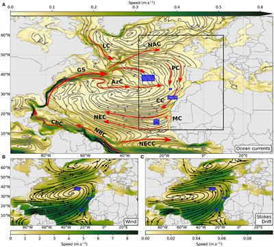 Modeling the Exposure of the Macaronesia Islands (NE Atlantic) to Marine Plastic Pollution